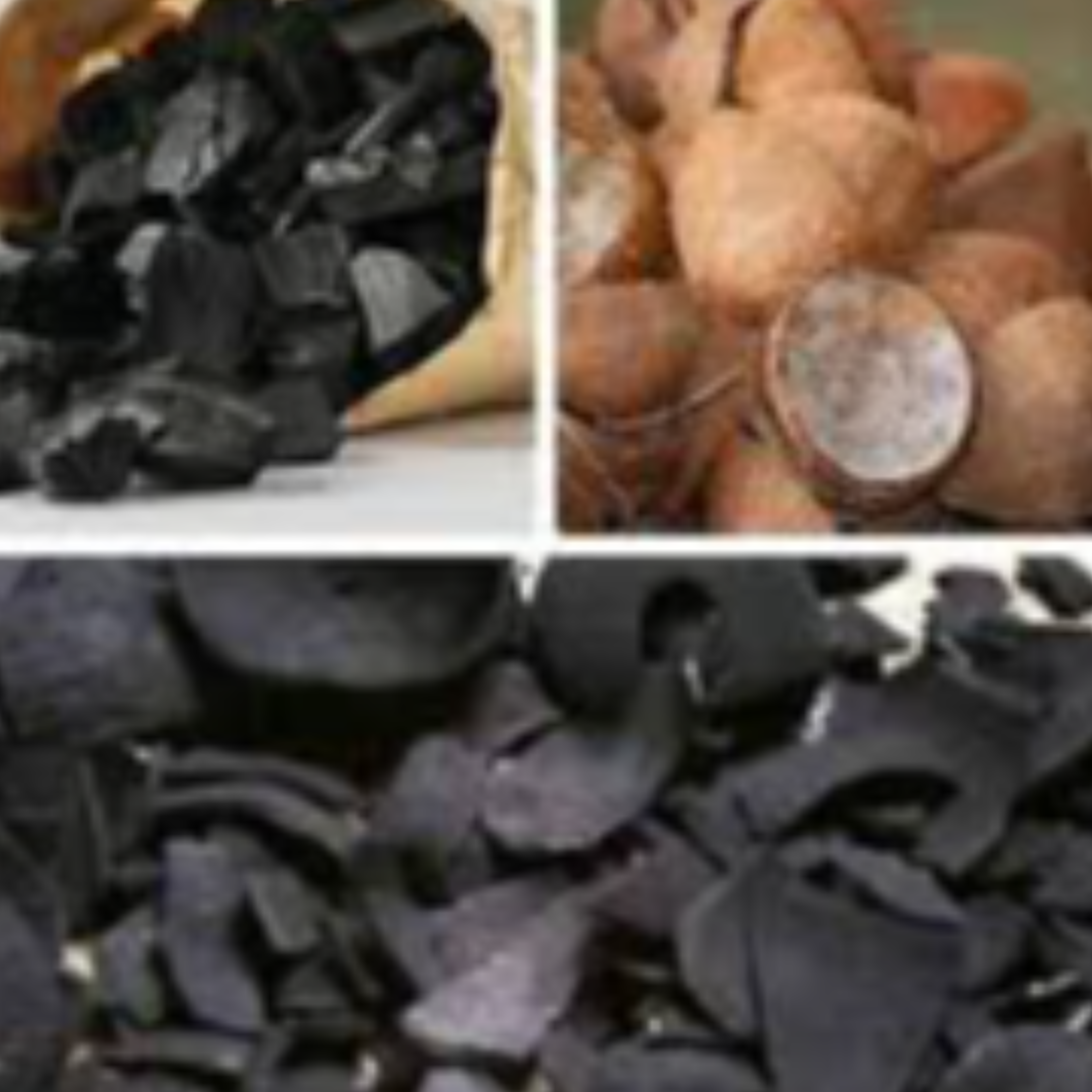 Briquette Charcoal Shell & Carbon Activated